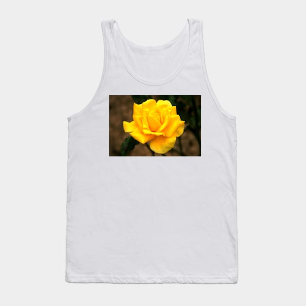 A Kiss From A Rose Tank Top by Michaelm43